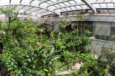 🦋 이시카와현 만남의 곤충관(이시카와켄 후레아이 콘추칸) 이미지 2